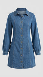 Full Sleeves Mid Dress